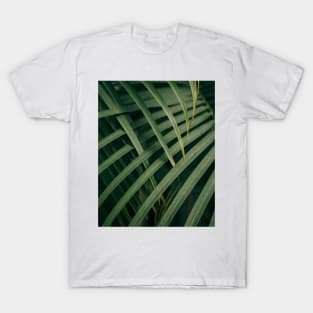 Green Leaf Plant - Inspirational T-Shirt